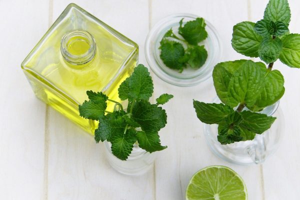 HERBS lemon balm